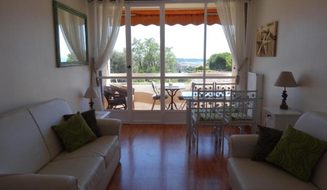 2 Bedroom Modern Apartment in Antibes with Sea View