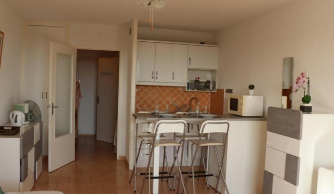 Studio Cavalaire-sur-Mer, 1 pièce, 4 personnes - FR-1-100-119