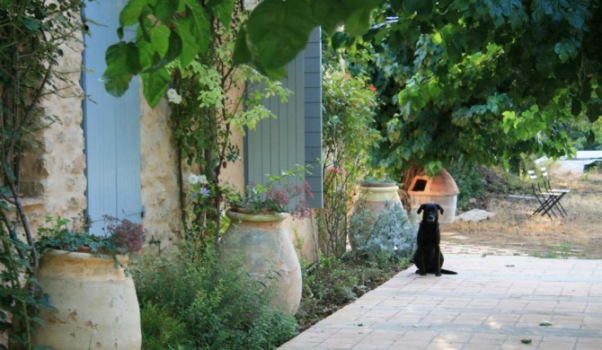 Les Vignes de Terrisse