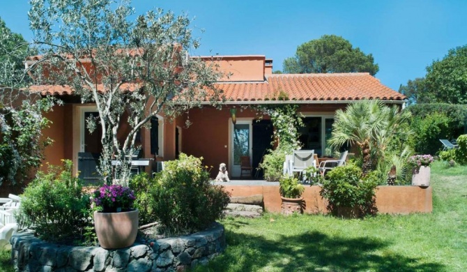 Splendid Holiday Home in Frejus with private Swimming Pool