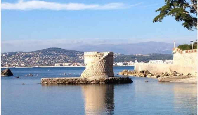 Studios à Golfe juan