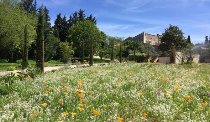 Domaine Les Martins - Gordes