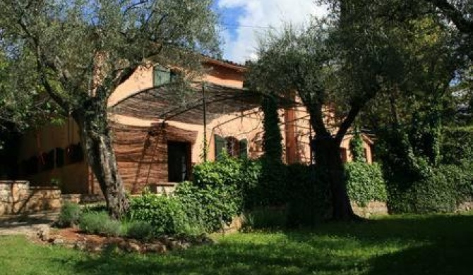 NYTimes-selected Charming Villa in Olive Grove