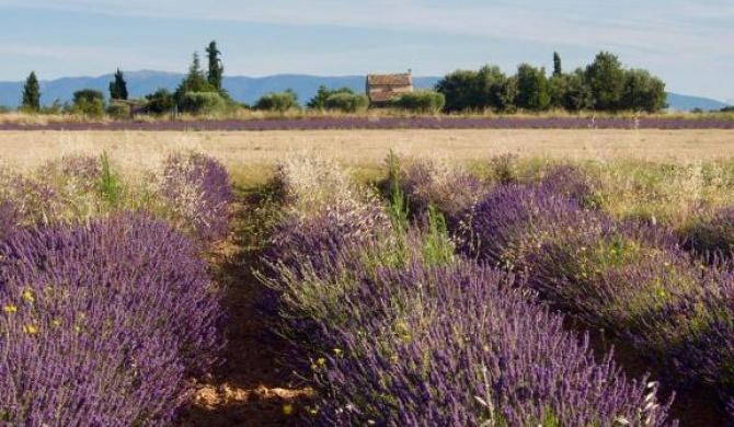 Studio du Verdon