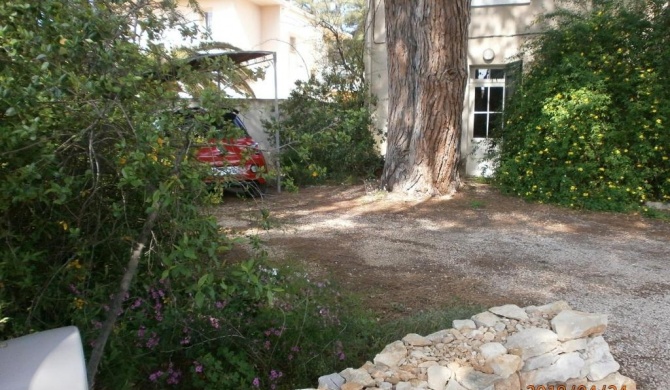 Studio équipé avec jardin+parking à la plage...