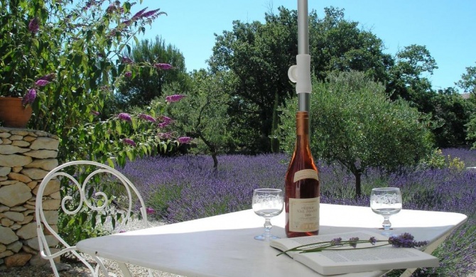 Le clos des lavandes-Luberon