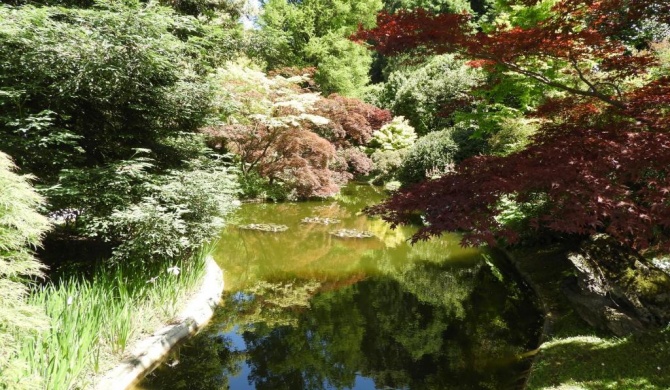 Chambre d'Hôtes - Les Oliviers