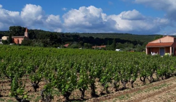 Gîte " Au Milieu des Vignes "