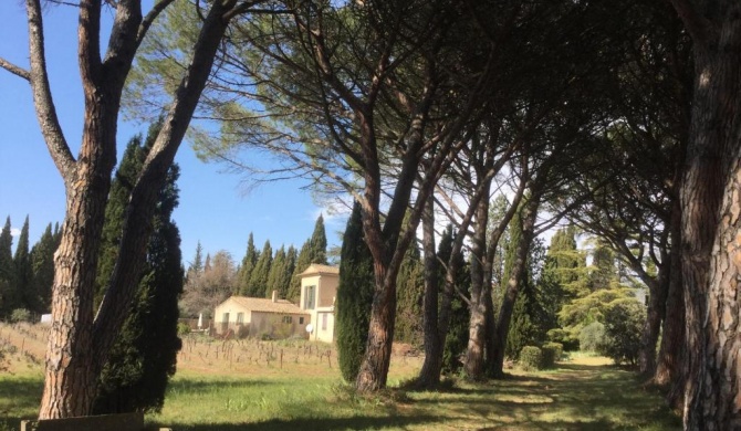 Domaine de Casteuse,Lourmarin Cottage