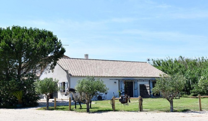 Mas Trinita Gîte équestre en Camargue